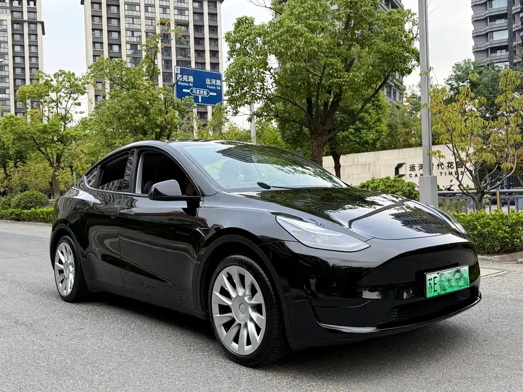 Tesla Model Y — фото 3