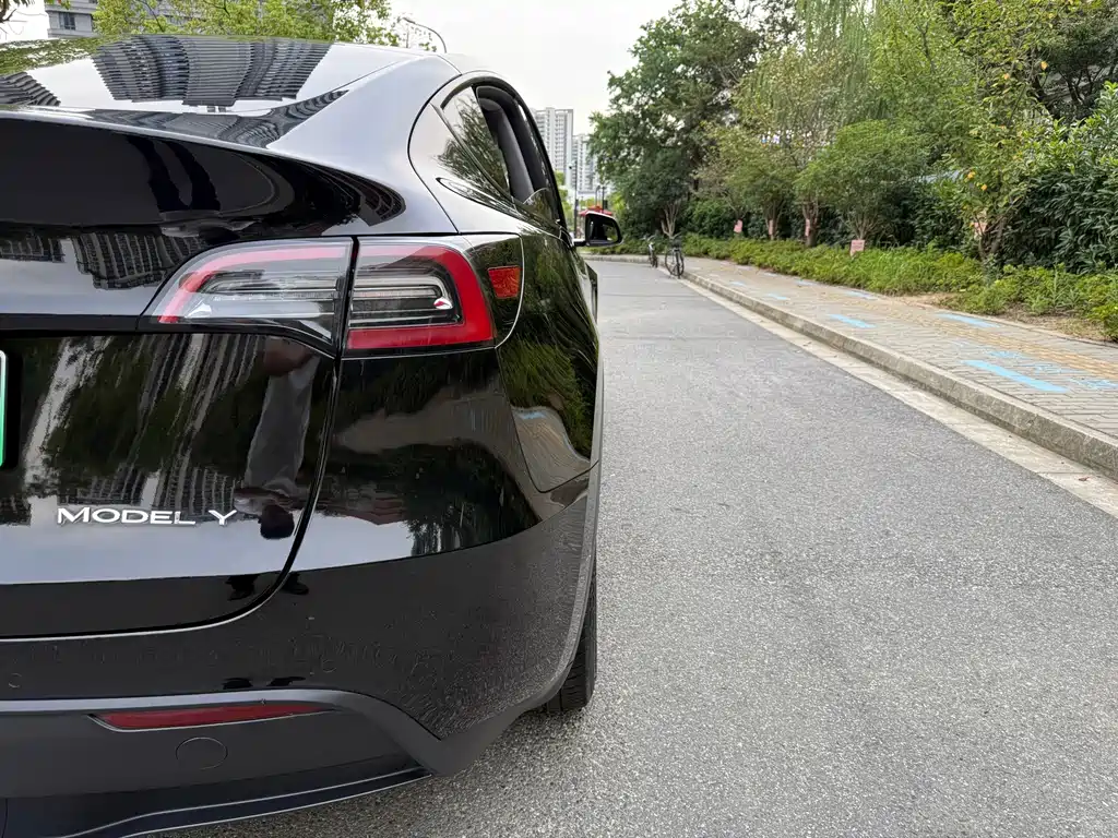 Tesla Model Y — фото 9