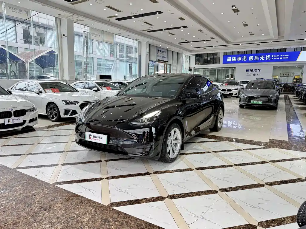 Tesla Model Y — фото 2