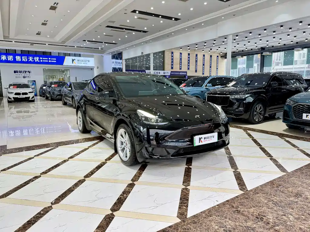 Tesla Model Y — фото 4