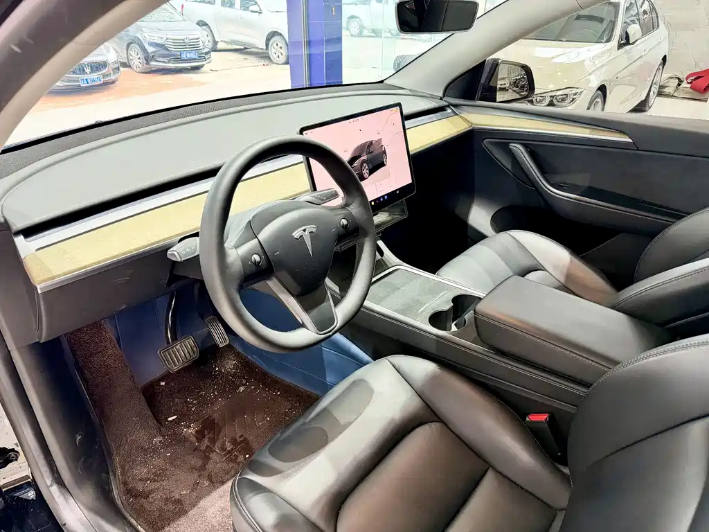 Tesla Model Y — фото 6