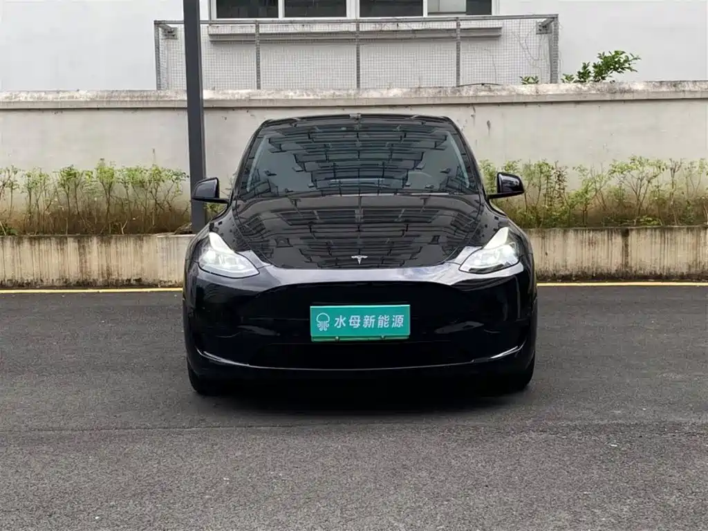 Tesla Model Y — фото 2