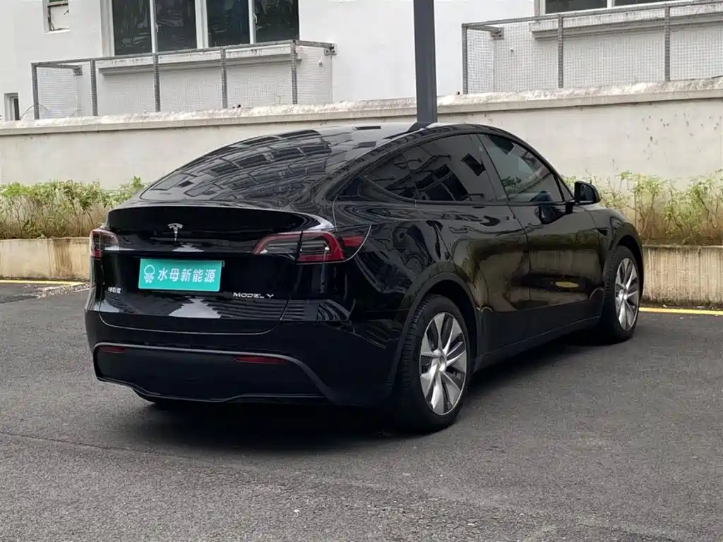 Tesla Model Y — фото 11