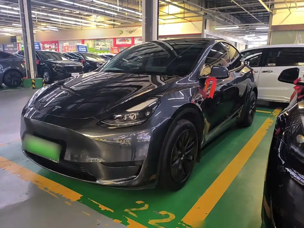 Tesla Model Y — фото 2
