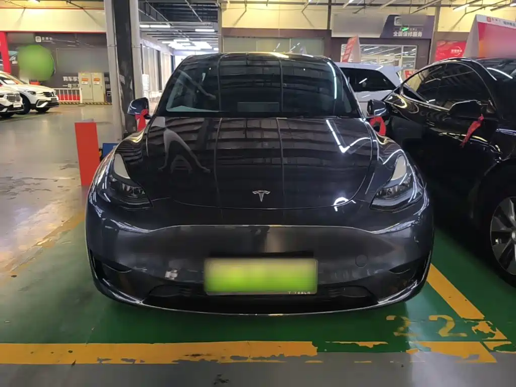 Tesla Model Y — фото 3