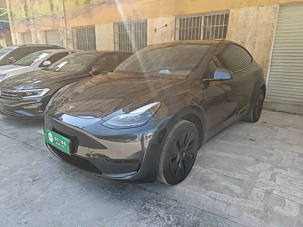Tesla Model Y — фото 2