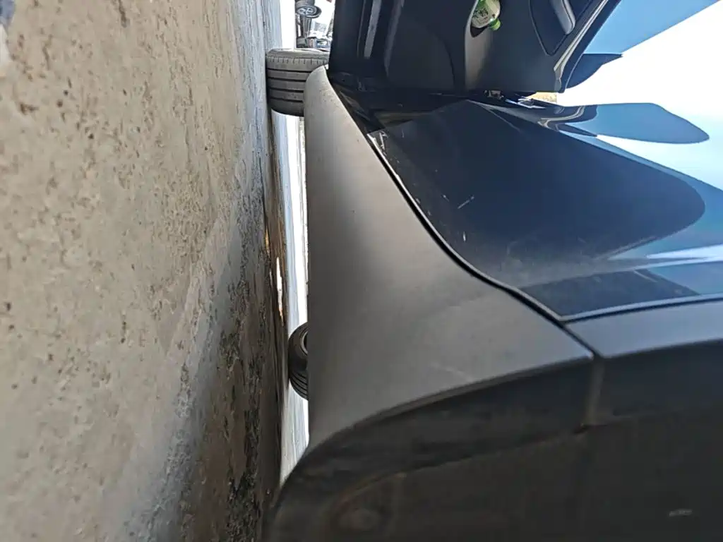 Tesla Model Y — фото 22