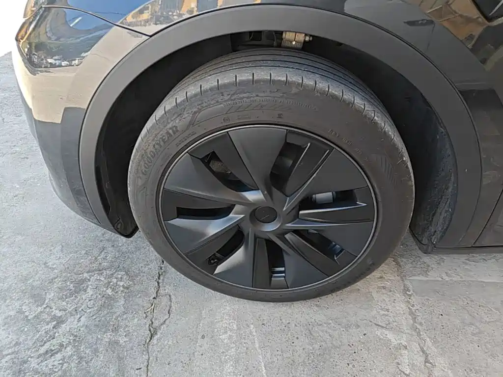 Tesla Model Y — фото 23