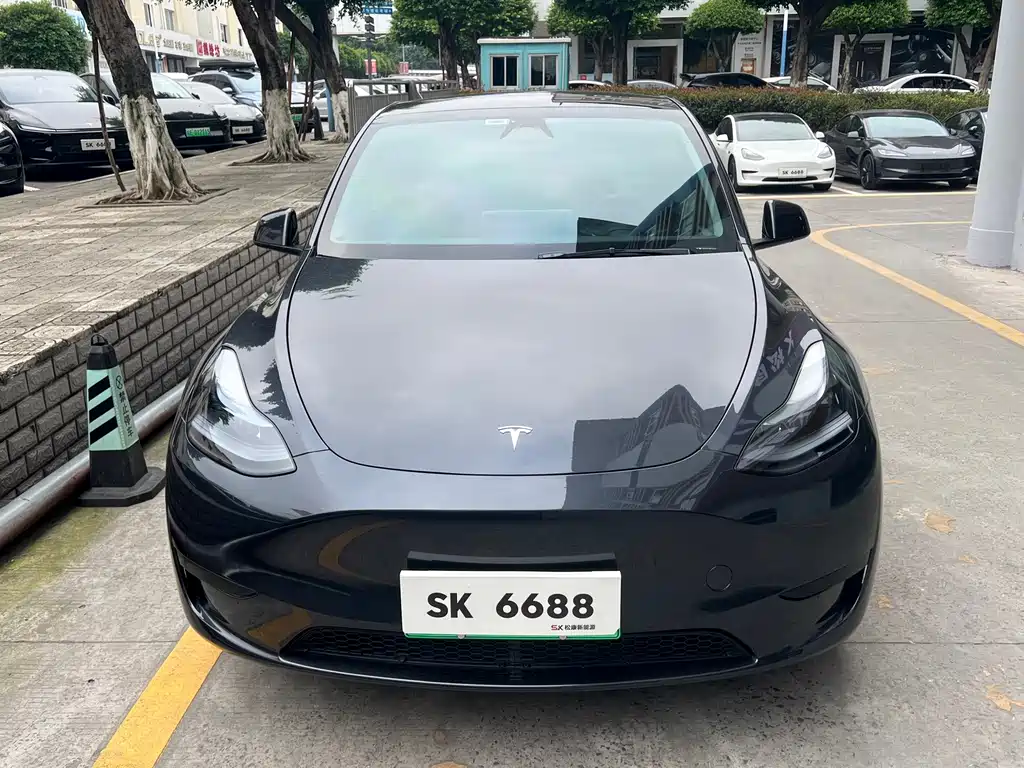 Tesla Model Y — фото 2