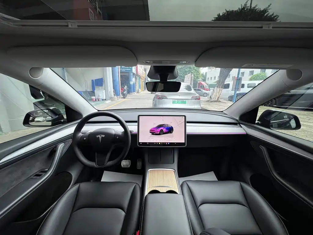 Tesla Model Y — фото 11