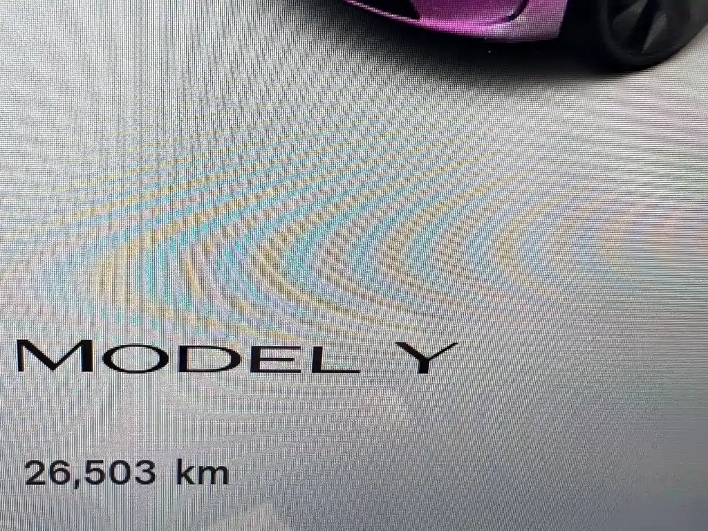 Tesla Model Y — фото 13