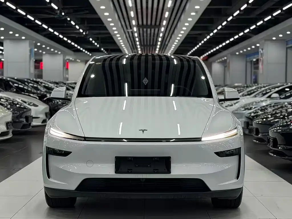 Tesla Model Y — фото 2