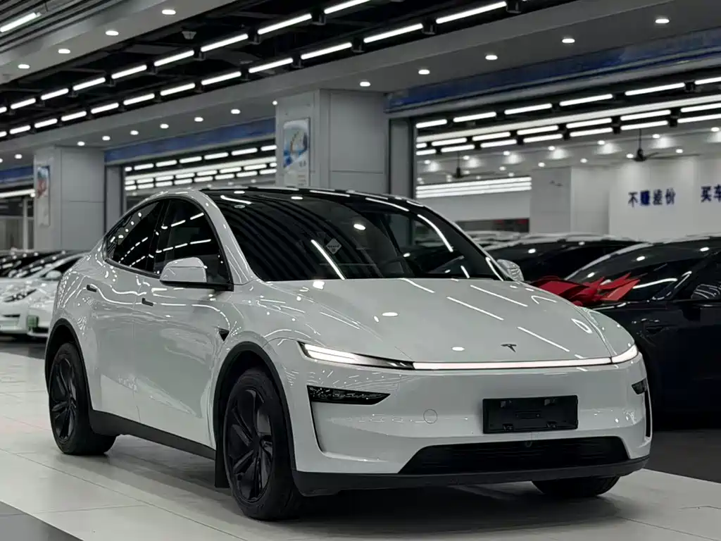 Tesla Model Y — фото 3