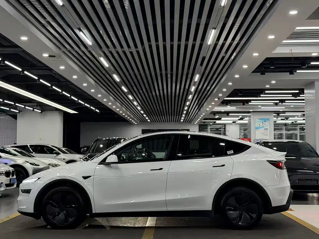 Tesla Model Y — фото 4