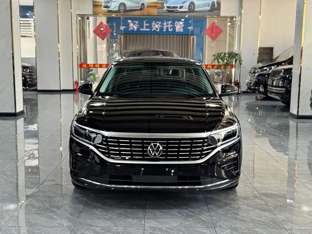 Volkswagen Passat — фото 2