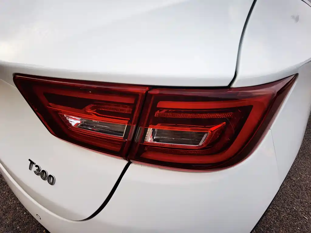 Zotye Zotye T300 — фото 9