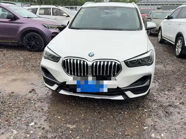 BMW X1 — фото 1