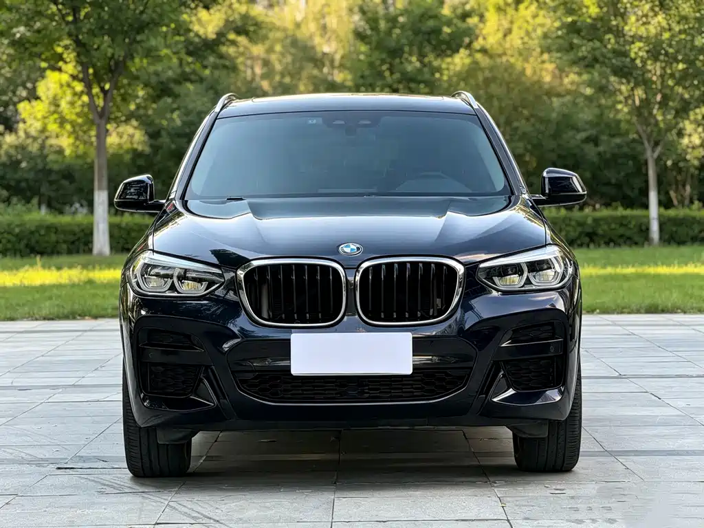 BMW X3 — фото 2