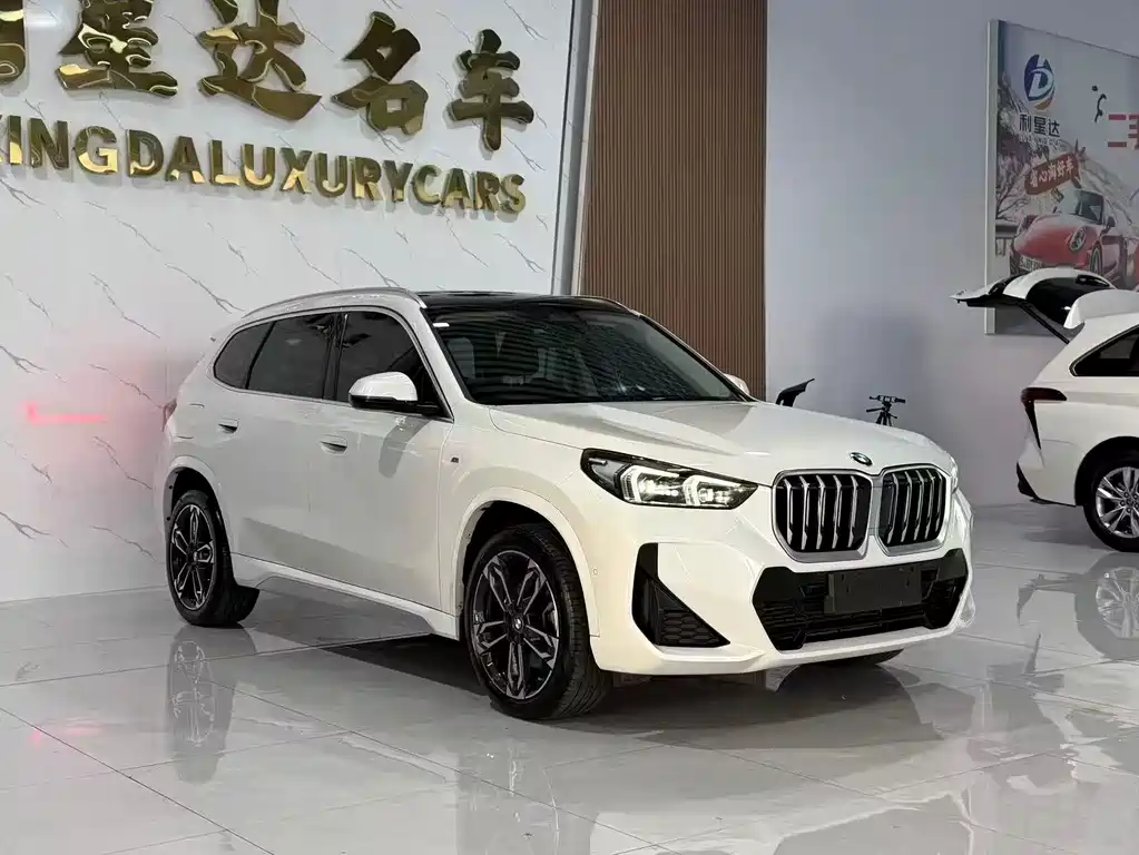 BMW X1 — фото 2