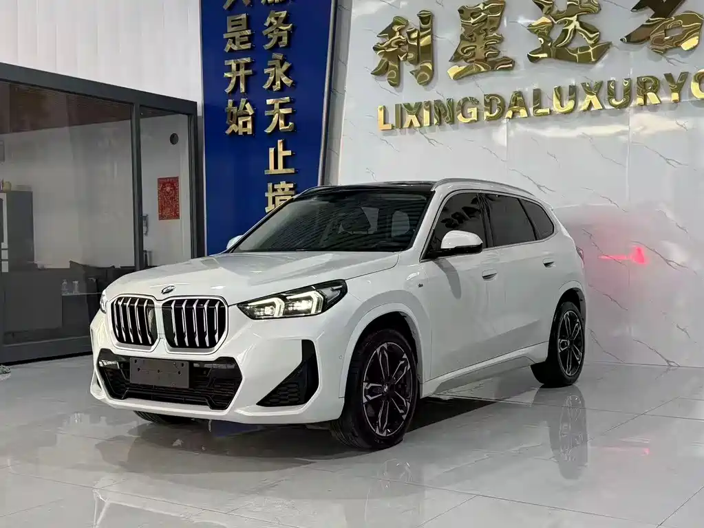 BMW X1 — фото 1