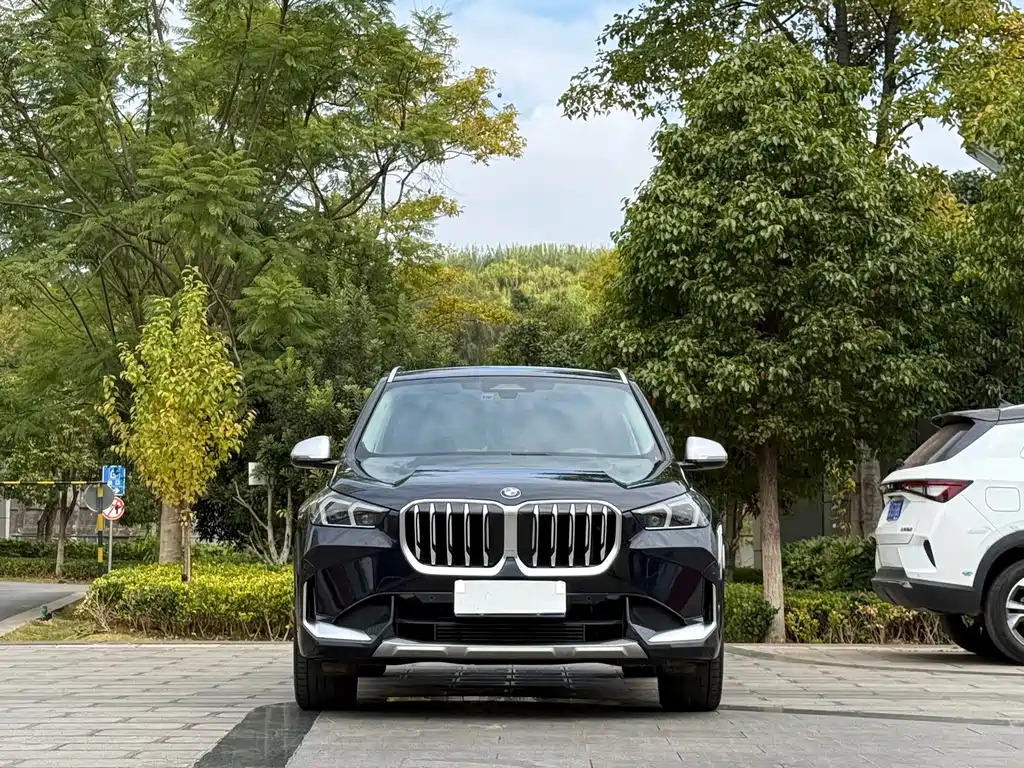BMW X1 — фото 2
