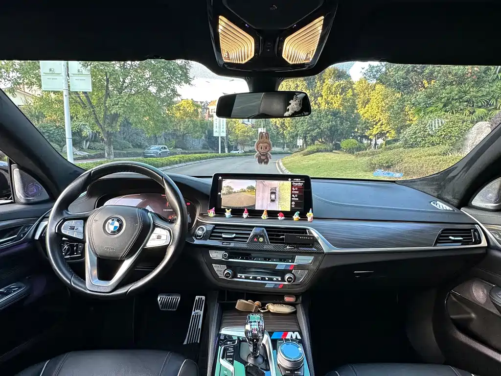 BMW 6 Series GT — фото 9