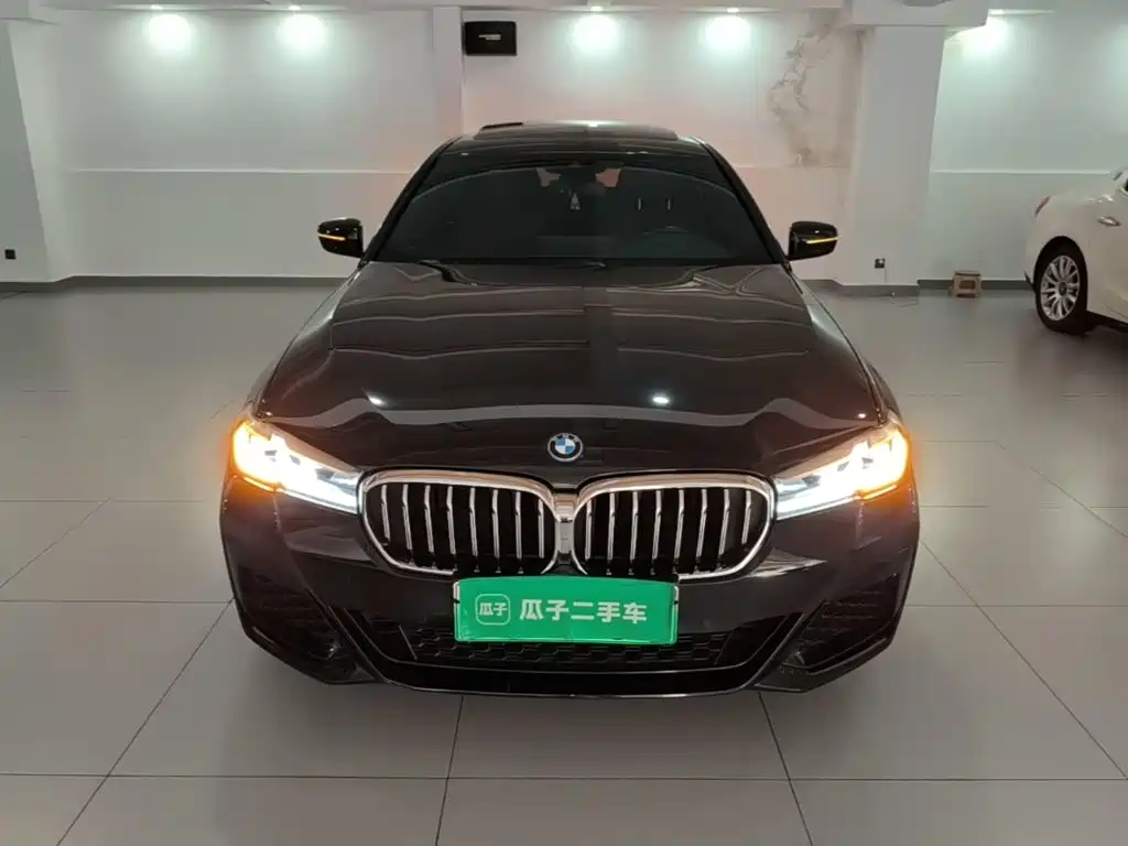 BMW 5 Series New Energy — фото 3