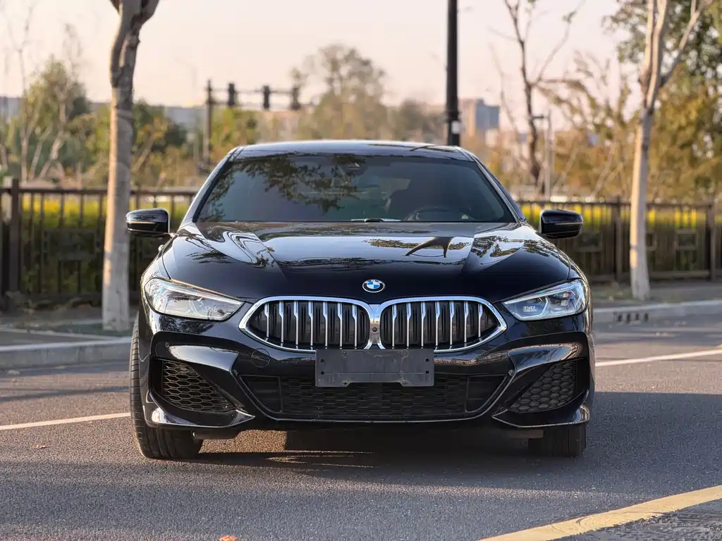 BMW 8 Series — фото 2