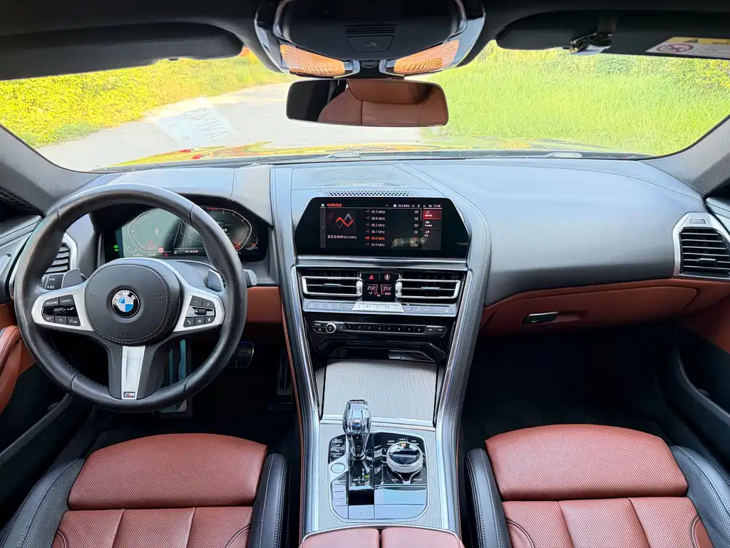 BMW 8 Series — фото 13