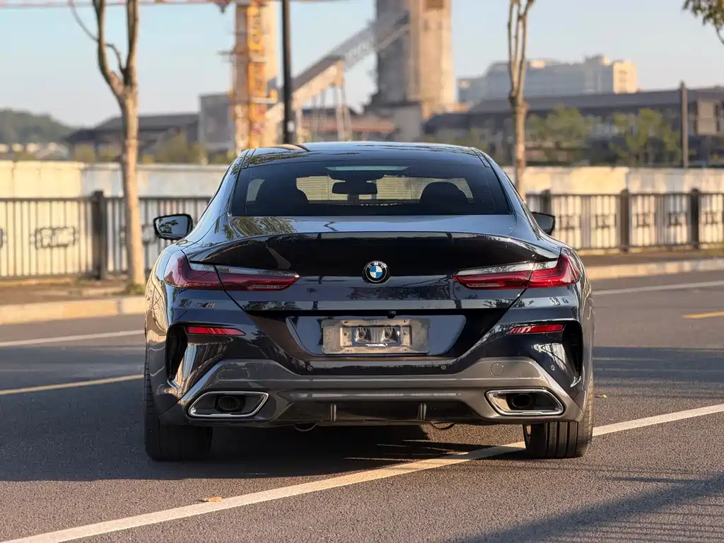 BMW 8 Series — фото 6