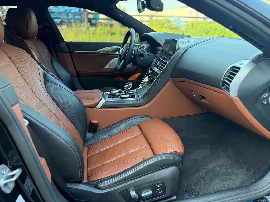 BMW 8 Series — фото 10