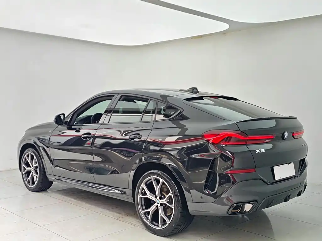BMW X6 — фото 19