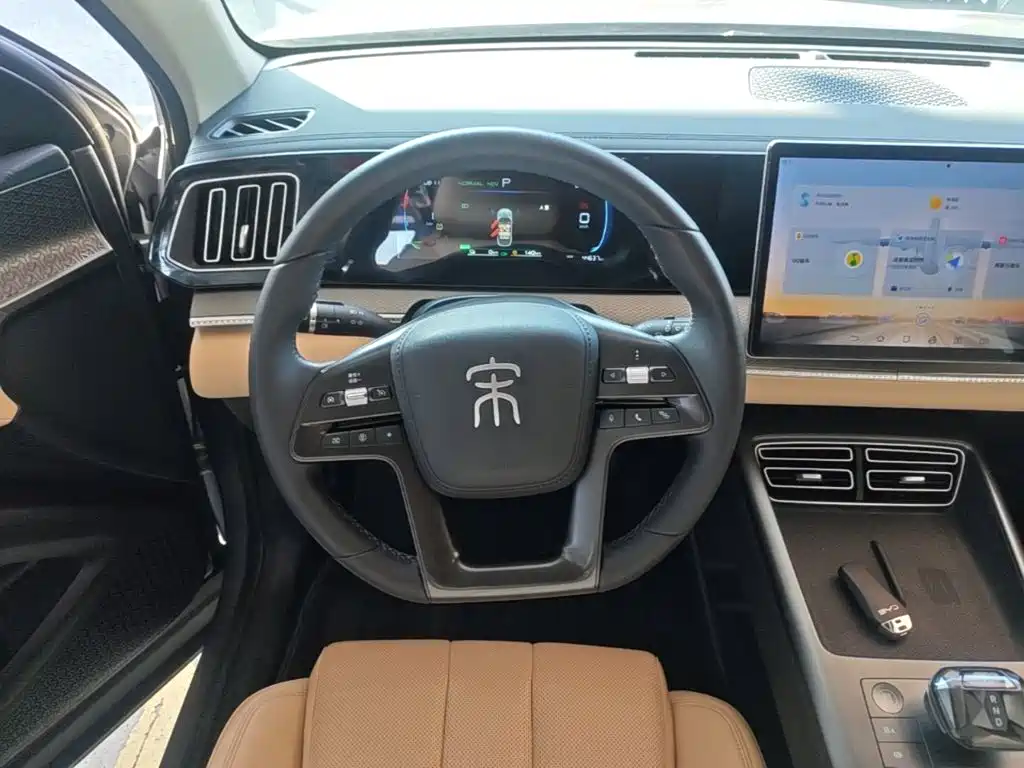 BYD Pro New Energy — фото 11