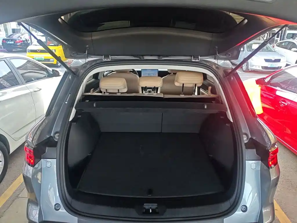 BYD Pro New Energy — фото 19