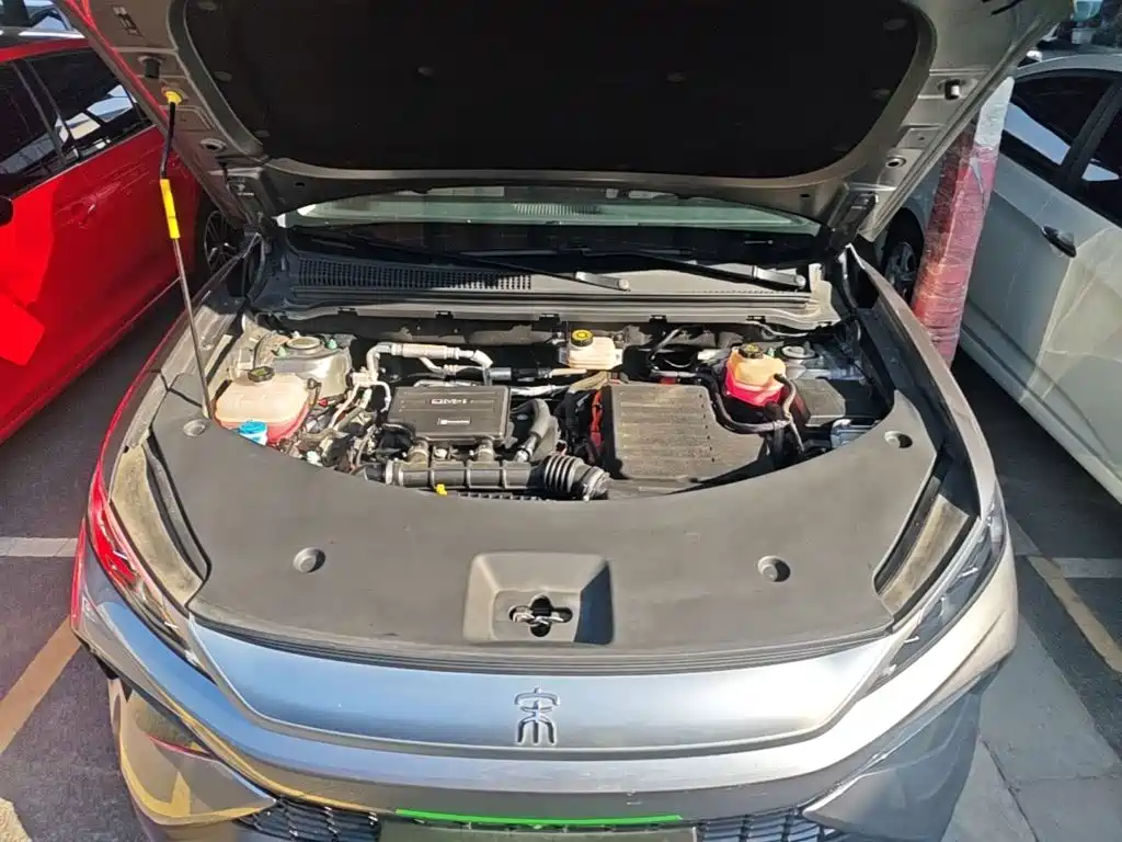 BYD Pro New Energy — фото 20