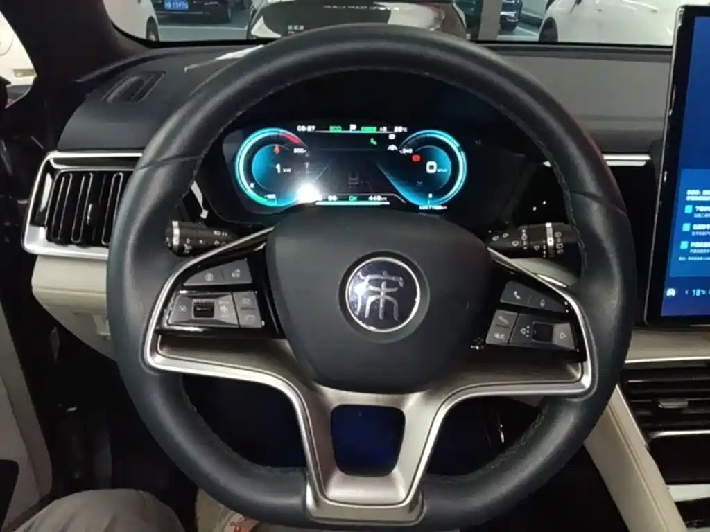 BYD PLUS New Energy — фото 11