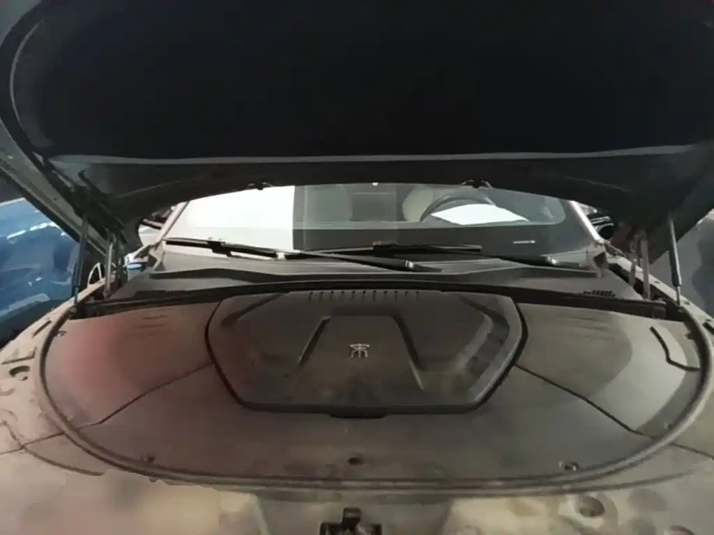 BYD PLUS New Energy — фото 20