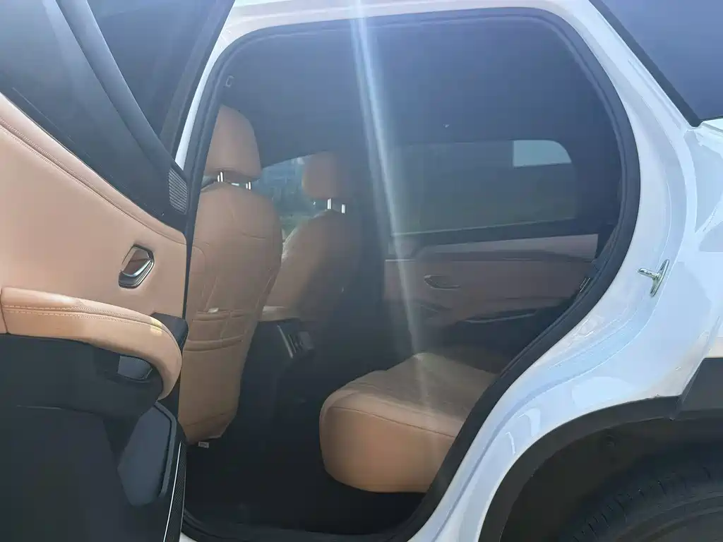 BYD L DM-i — фото 6