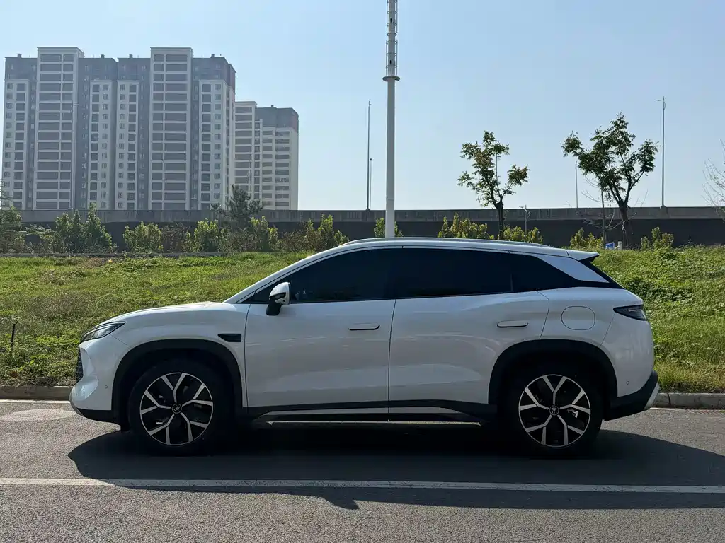 BYD L DM-i — фото 8