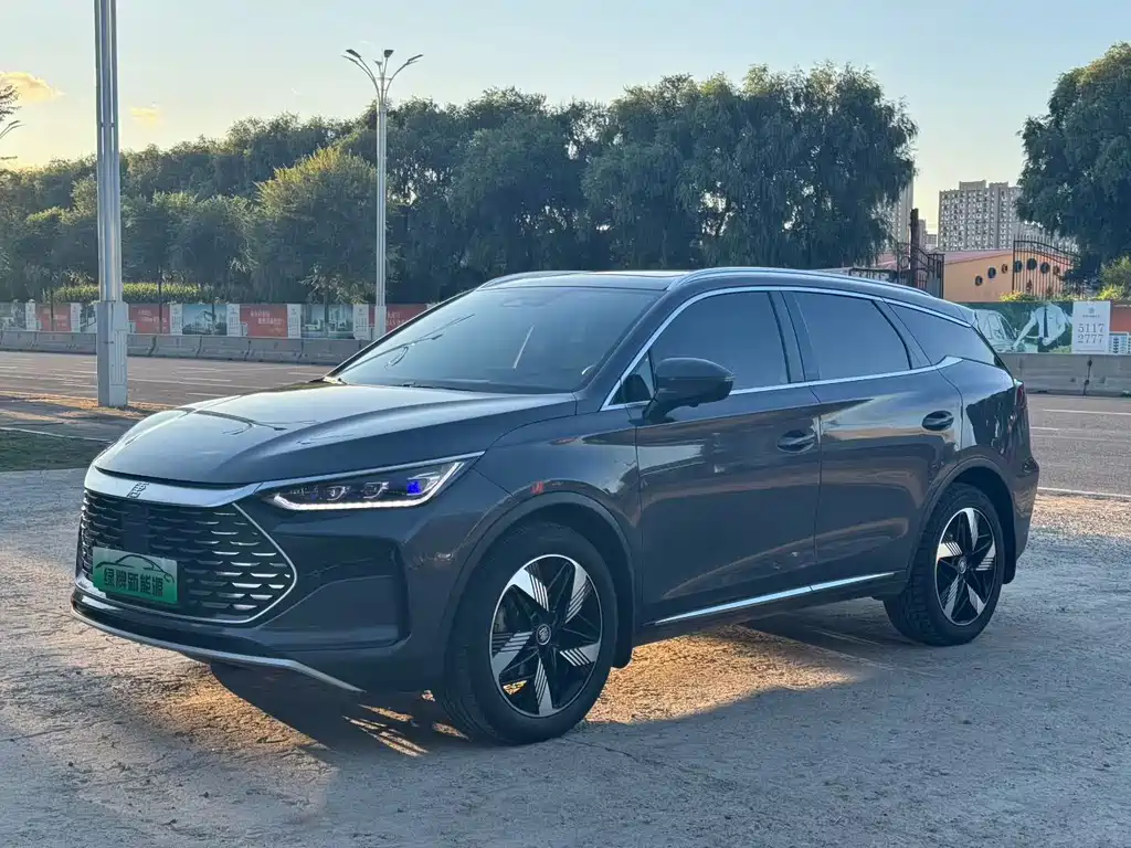 BYD Tang New Energy — фото 3