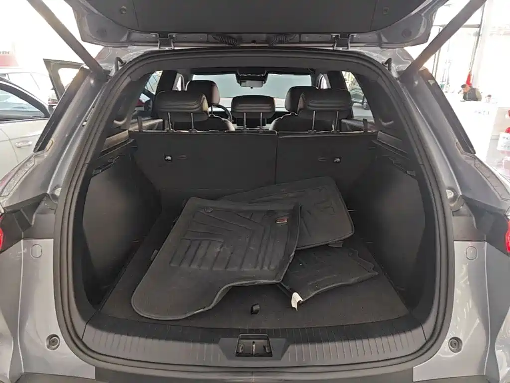 BYD Pro New Energy — фото 19