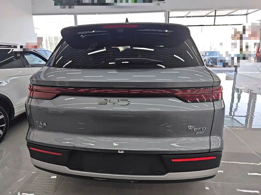 BYD Pro New Energy — фото 6