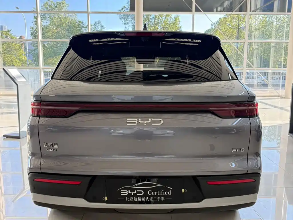 BYD Pro New Energy — фото 8