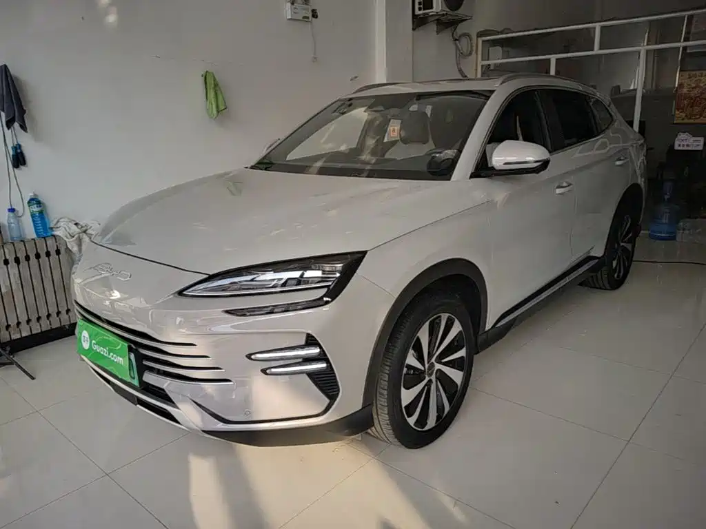 BYD PLUS New Energy — фото 2