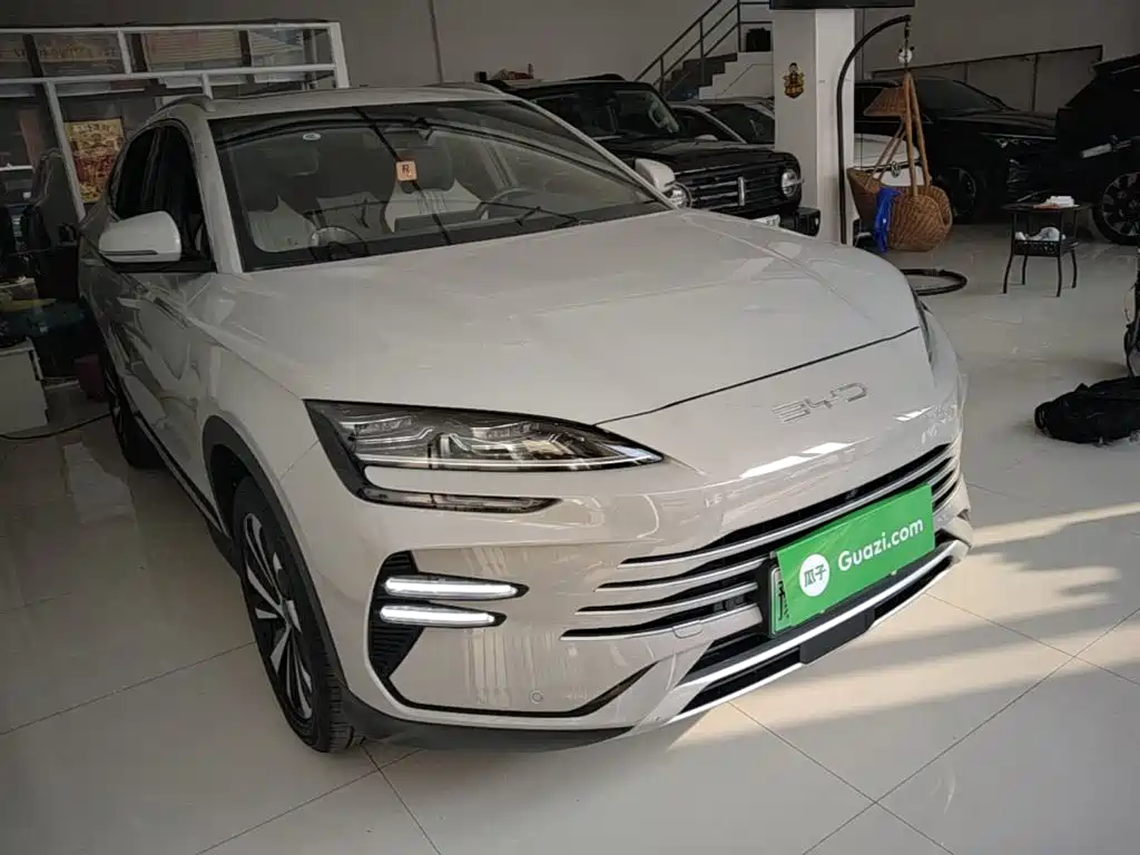 BYD PLUS New Energy — фото 4
