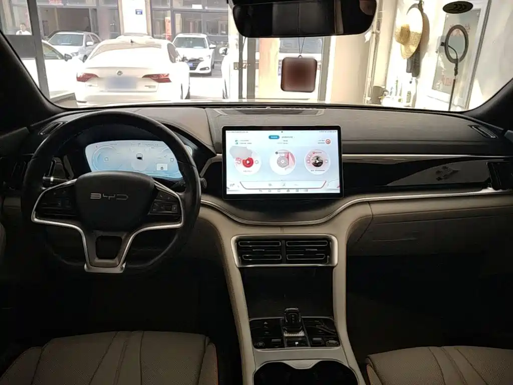 BYD PLUS New Energy — фото 10