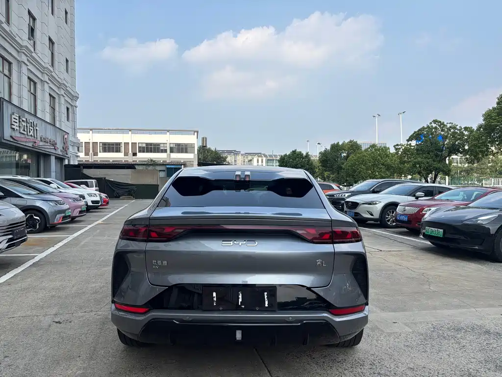 BYD L EV — фото 6