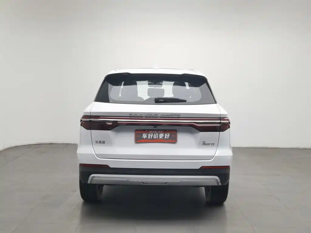 BYD Pro — фото 4