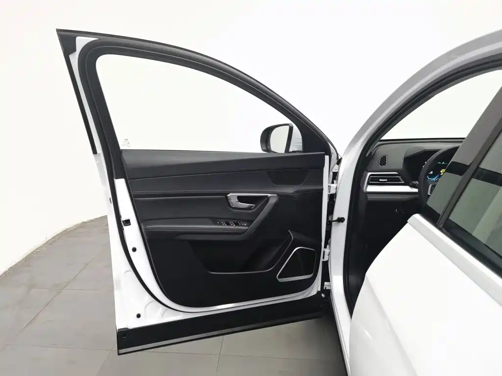 BYD Pro — фото 8