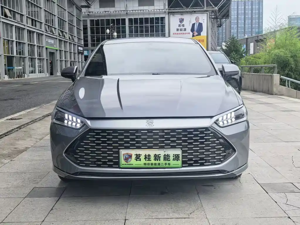 BYD Qin PLUS — фото 2